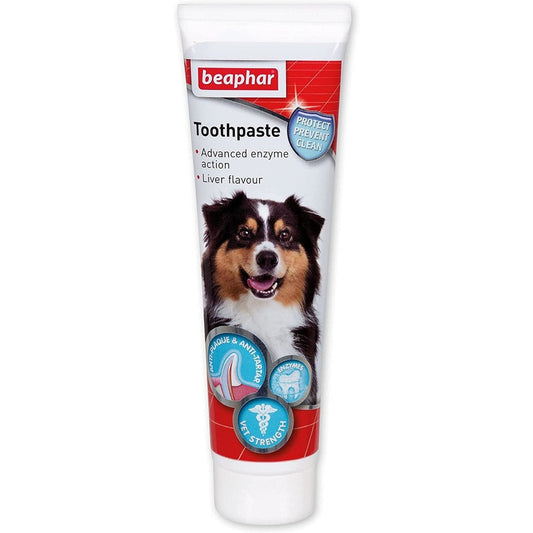 Dogs & Cats Toothpaste, Dental Care, Liver-Flavoured 100g Clear Store