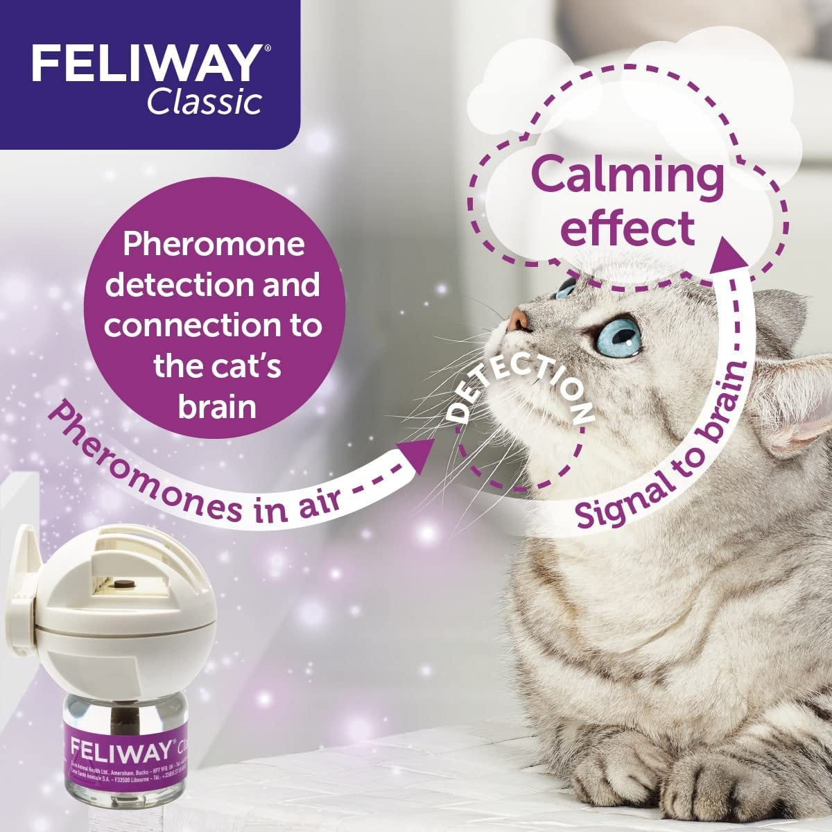 Classic 30 Day Refill Comforts Cats, Helps Solve Behavioural Issues and Stress/Anxiety in the Home - 48Ml