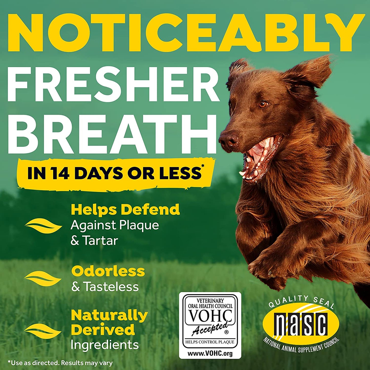 Fresh Breath Dog Teeth Cleaning  Dog Dental Care for Bad Breath - Breath Freshener - Water Additive Mouthwash – Helps Remove Plaque off Dogs Teeth, Original, 473ml Clear Store