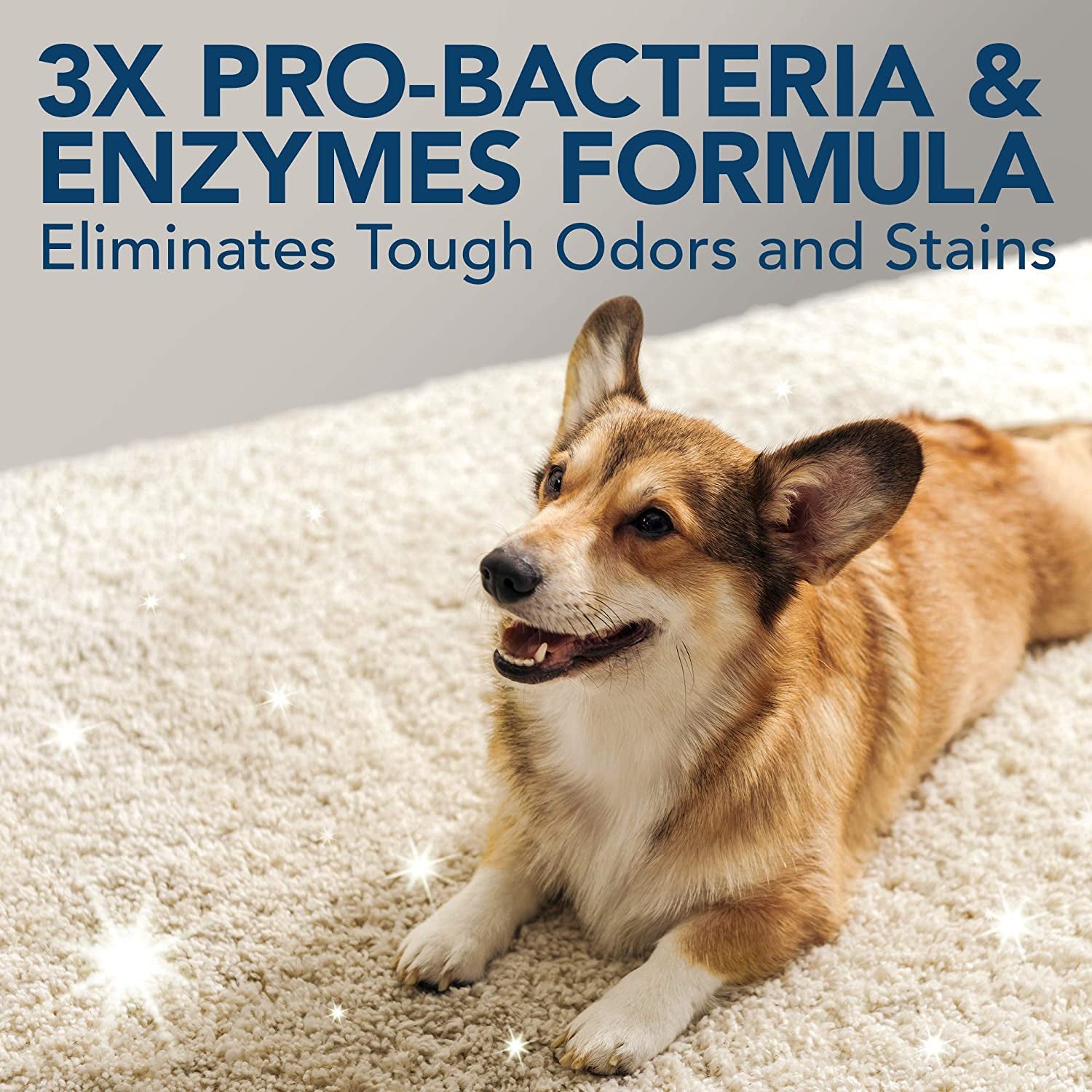 Extreme Dog Stain and Odour Remover | Enzymatic Cleaner with 3X Pro-Bacteria Cleaning Power - 500Ml