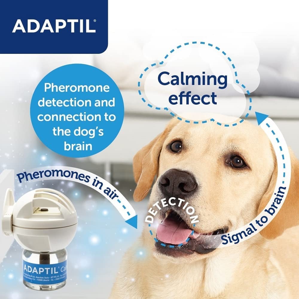 ADAPTIL Calm 30 Day Refill, Helps Dog Cope with Behavioural Issues and Life Challenges - 48 Ml (Pack of 1)