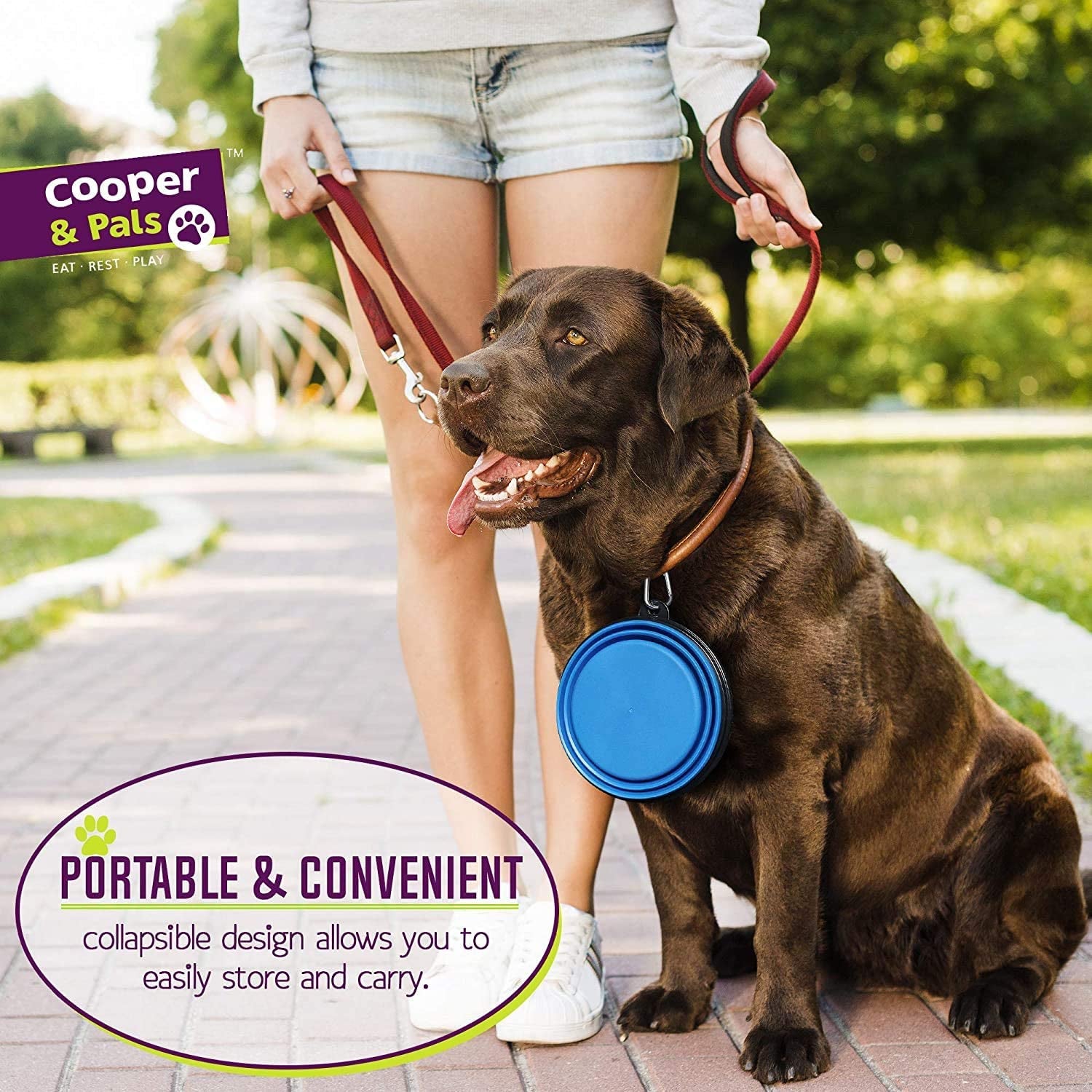 Cooper & Pals Collapsible Dog Bowl Portable Silicone Collapsible Pet Feeding Bowl Space save Travel Dog Cat Bowl with Carabiner Carry Hook Small 350Ml (12Fl Oz) (3Pcs X Three Colours (1 per Colour)))