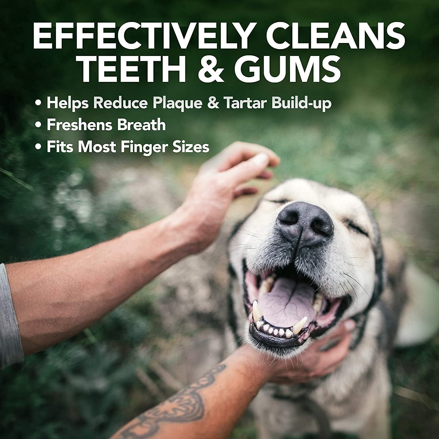 Vet'S Best Dental Care Finger Wipes | Reduces Plaque & Freshens Breath | Teeth Cleaning Finger Wipes for Dogs & Cats | 50 Disposable Wipes Clear Store