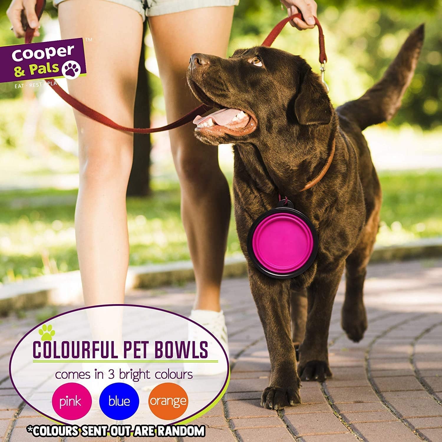 Cooper & Pals Collapsible Dog Bowl Portable Silicone Collapsible Pet Feeding Bowl Space save Travel Dog Cat Bowl with Carabiner Carry Hook Small 350Ml (12Fl Oz) (3Pcs X Three Colours (1 per Colour)))