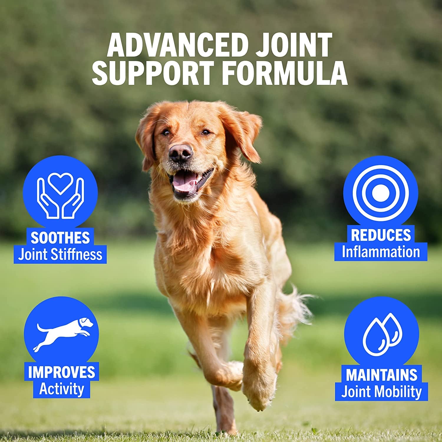 Joint Support Supplements for Dogs – 300 Tabs, Aids Stiff Joints, Supports Joint Structure & Maintains Mobility in Adult/Senior Dogs | Advanced Formula Helps Arthritis Relief