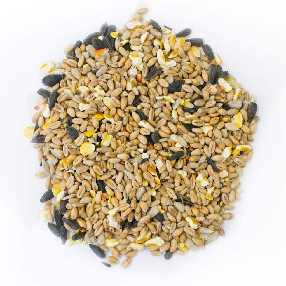 Premium Wild Bird Food, 3 Kg