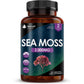 Sea Moss Tablets Extract High Strength 2000Mg - Sea Moss Supplement 120 Tablets,Vegan - Non GMO Clear Store