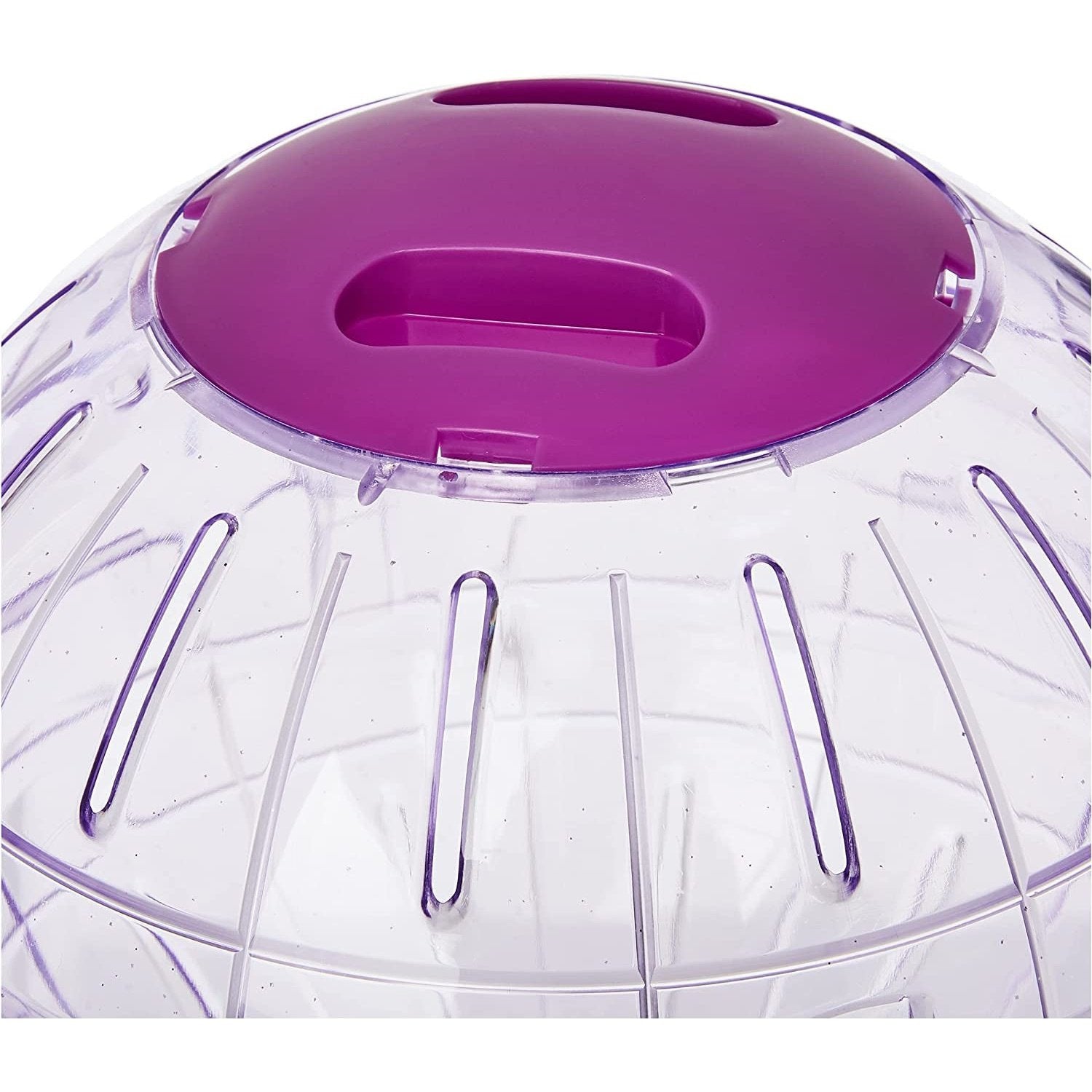 Boredom Breaker, Hamster activity Toy, Glitter Ball Purple Clear Store