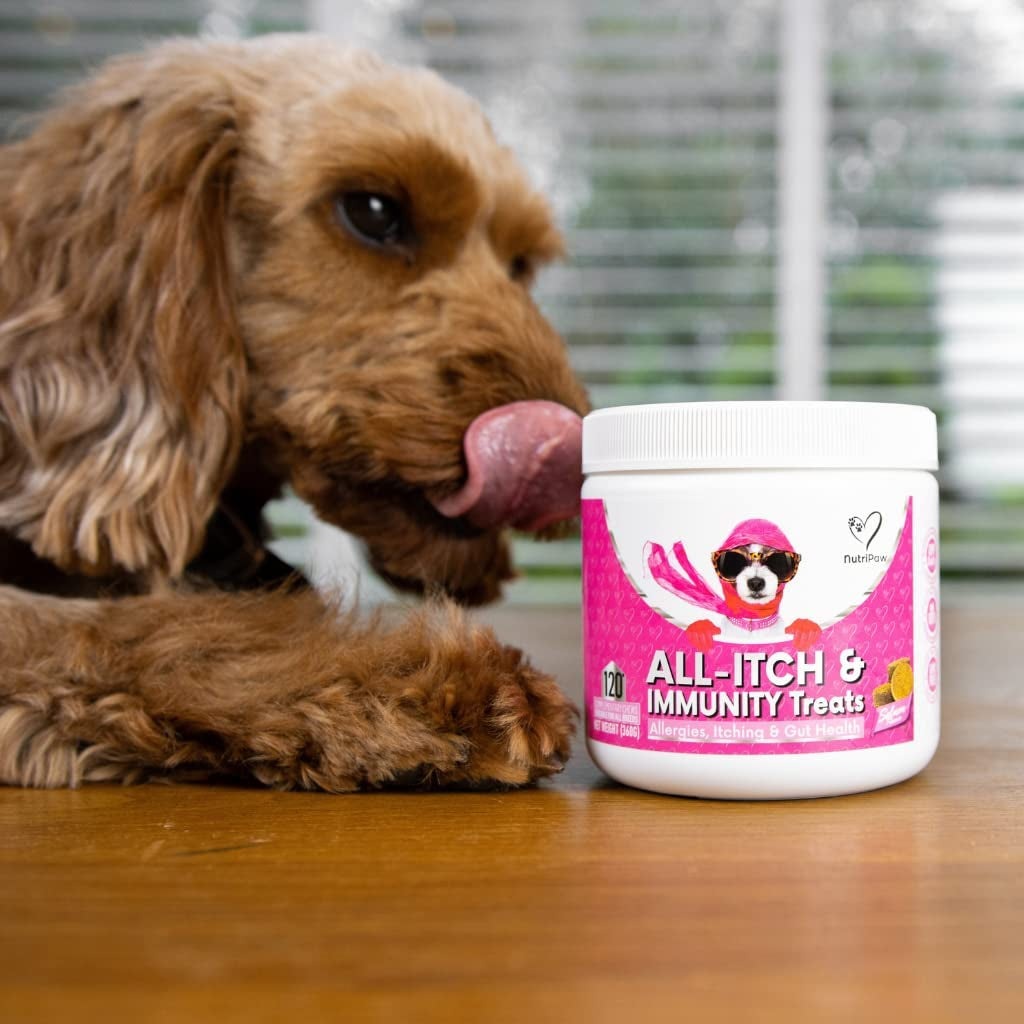 All-Itch Immunity Treats for Dogs - Soothe Itchy Paws, Eyes, Ears, Skin - Stop Itching, Licking, Scratching - Perfect for Small, Medium & Large Dogs - Supports Seasonal Itching