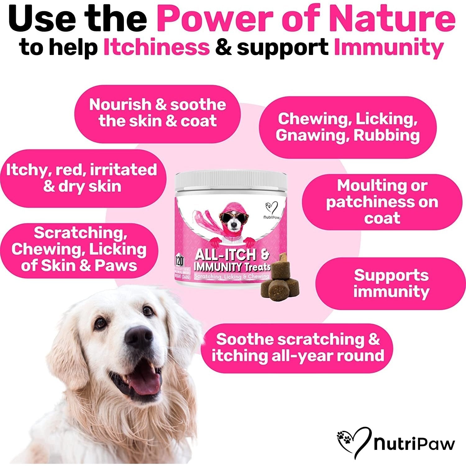 All-Itch Immunity Treats for Dogs - Soothe Itchy Paws, Eyes, Ears, Skin - Stop Itching, Licking, Scratching - Perfect for Small, Medium & Large Dogs - Supports Seasonal Itching