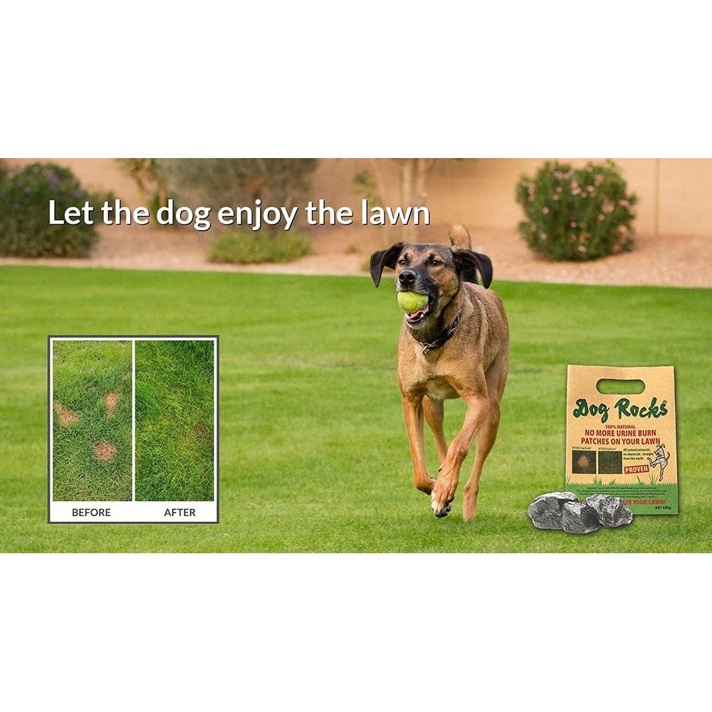 Urine Patch Preventer 200G Natural Dog Urine Neutraliser Clear Store