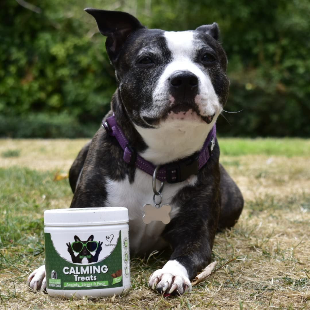 Calming Treats for Dogs - Reduce Stress, Fear, Separation Anxiety, Barking, Hyperactivity, Reactivity, Aggression, Travel Issues - Relaxation without Drowsiness Dogs