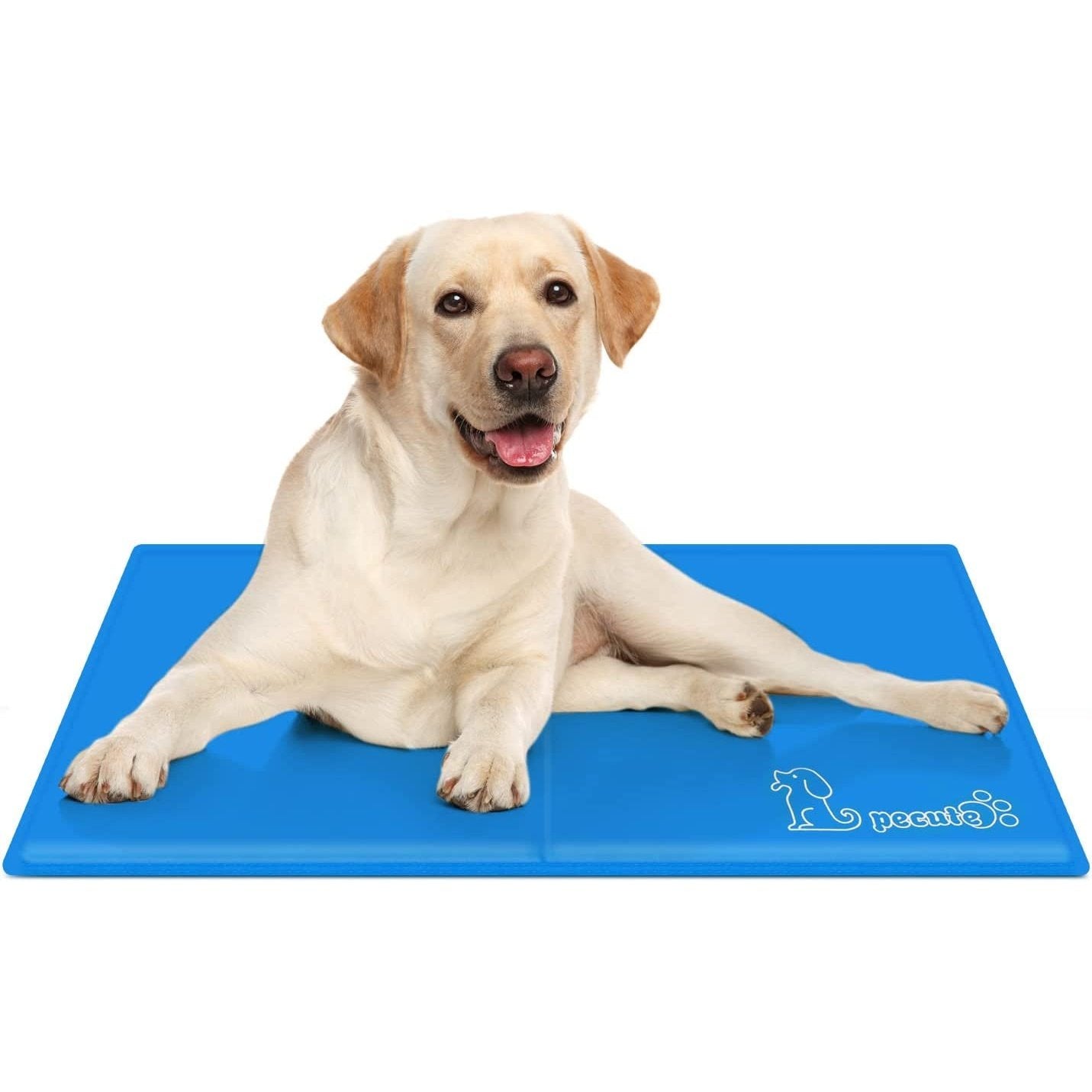 Dog Cooling Mat Medium 65X50Cm, Durable Pet Cool Mat Non-Toxic Gel Self Cooling Pad, Great for Dogs Cats in Hot Summer