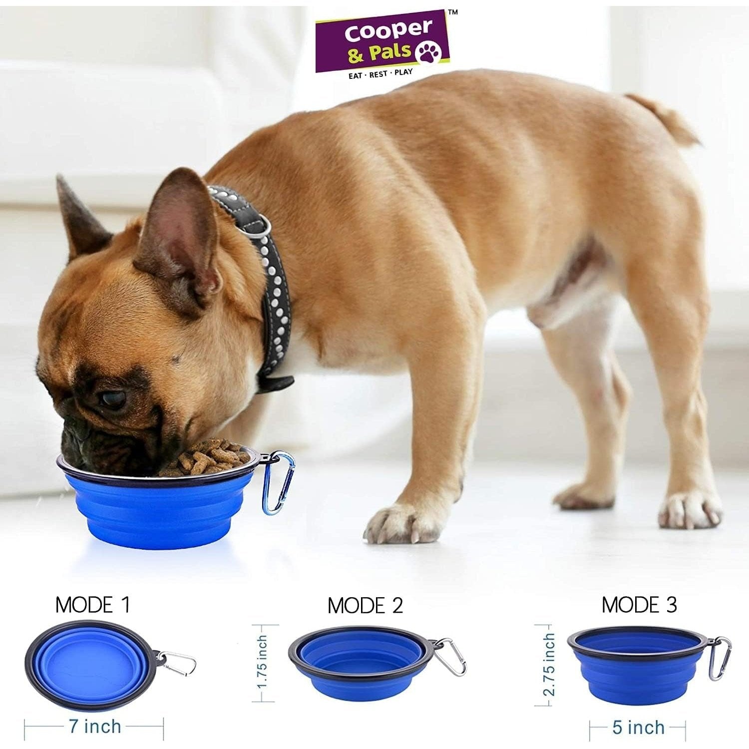 Cooper & Pals Collapsible Dog Bowl Portable Silicone Collapsible Pet Feeding Bowl Space save Travel Dog Cat Bowl with Carabiner Carry Hook Small 350Ml (12Fl Oz) (3Pcs X Three Colours (1 per Colour)))