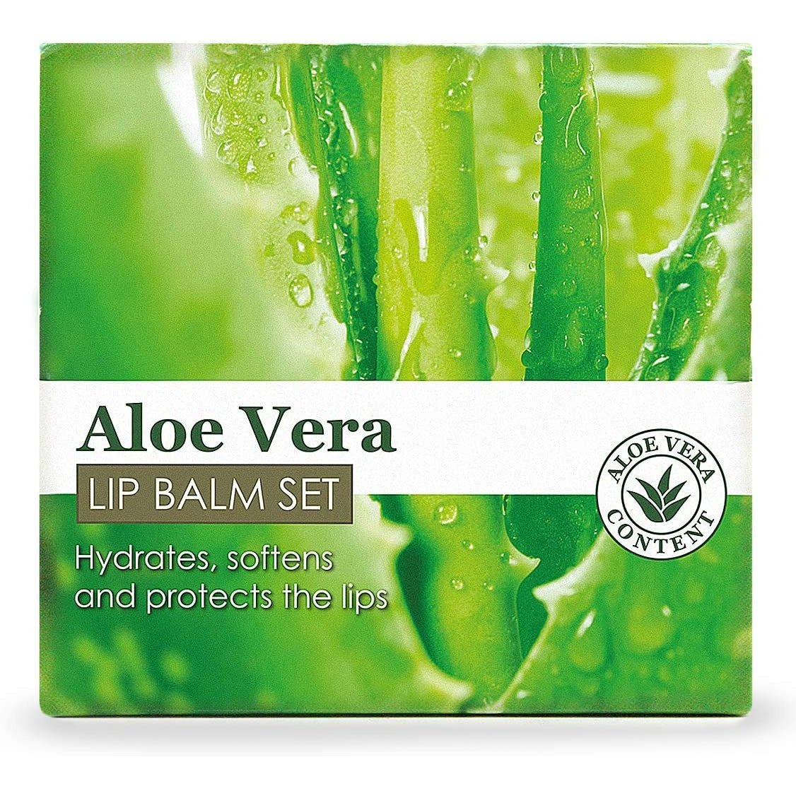 Lip Balms with Aloe Vera set of 72. Unisex Lip Care Clear Store