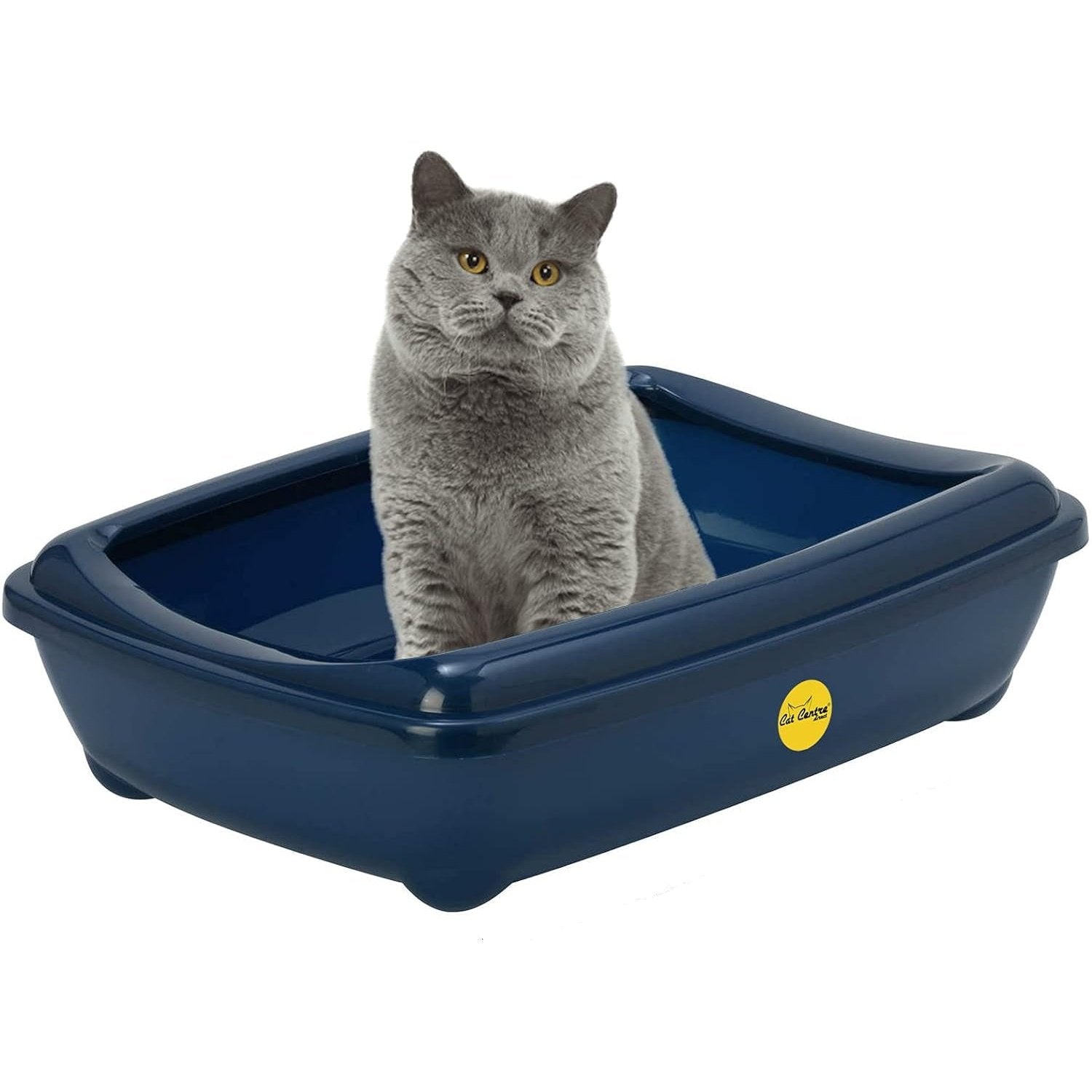 Jumbo Cat Litter Tray in Blue, Removable Rim with Shiny Plastic Finish - No Spilling Toilet Available in 6 Colours