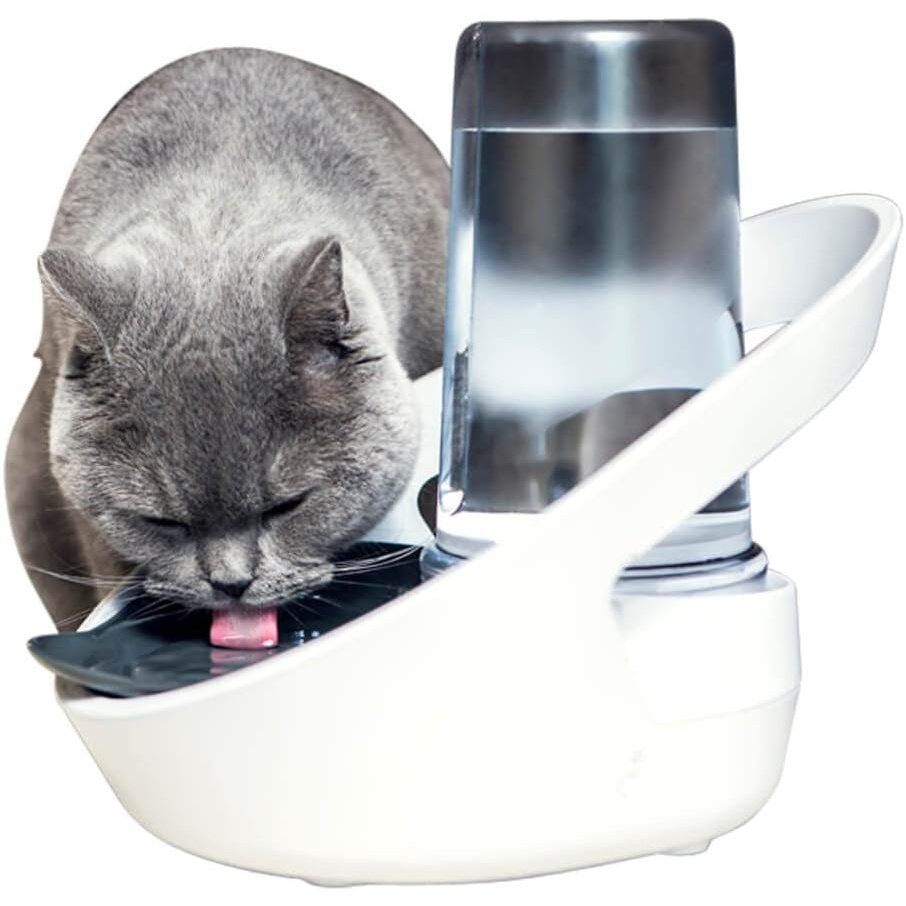 Felaqua Connect, Cat Water Bowl, Monitor Cat Drinking, RFID Collar Tags and Microchips Compatible, Mobile App Connected, Battery Operated, Cat Friendly Design, Hub Not Included