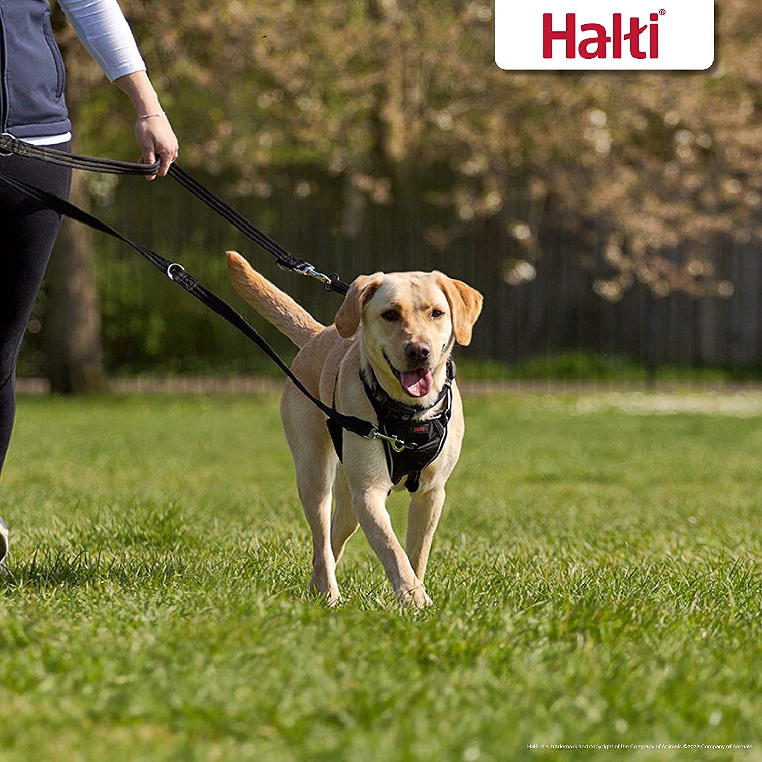 HALTI Training Lead Size Large Black, 2M, Professional Dog Lead to Stop Pulling on the Lead, Perfect for Puppy Walks, Easy to Use Double-Ended Dog Leash, Lightweight Soft & Durable