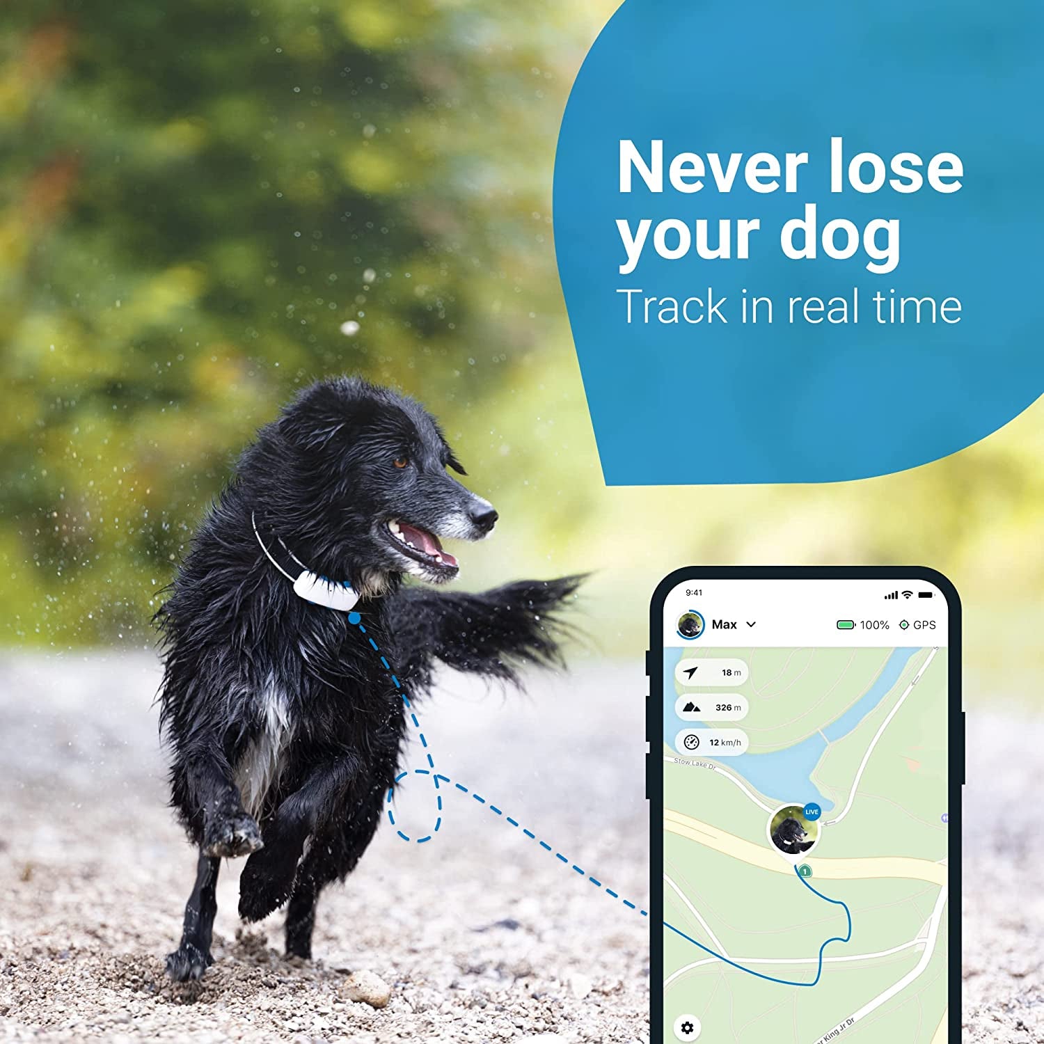 GPS Dog Tracker. Live Location with Unlimited Range. Escape Alerts & 100% Waterproof (White) Clear Store