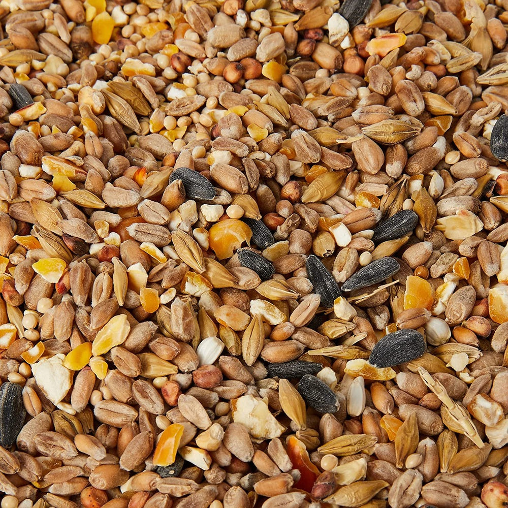 Seed Mix Wild Bird Food 5 Litre Clear Store