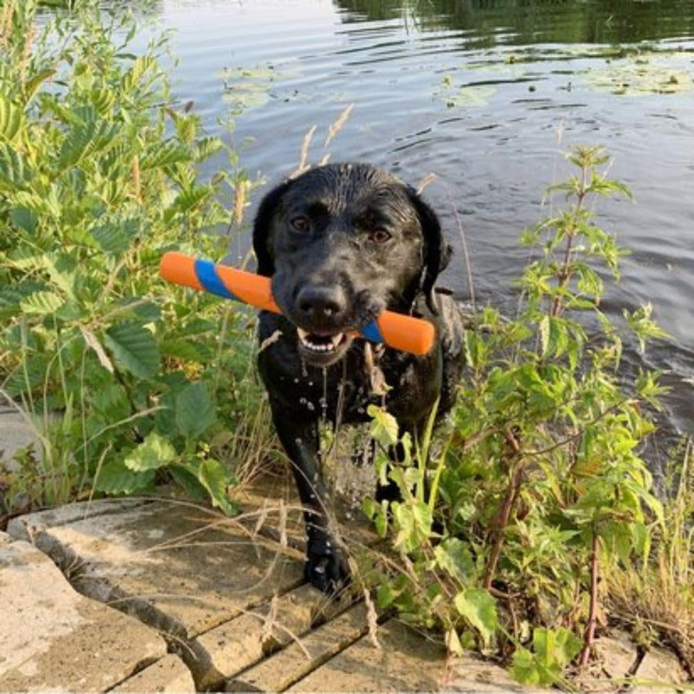 Ultra Fetch Stick Rubber Dog Toy, Increased Visibility Floats on Water Toy for Dogs