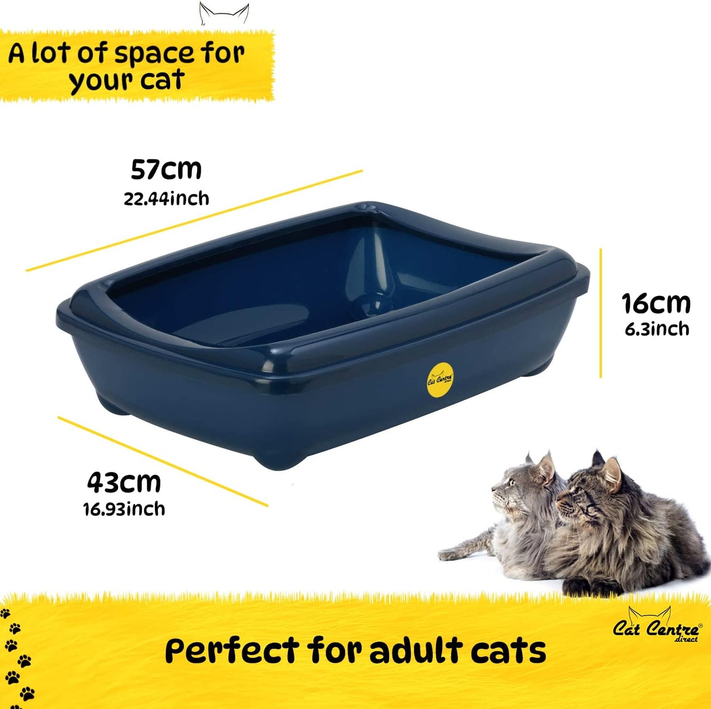 Jumbo Cat Litter Tray in Blue, Removable Rim with Shiny Plastic Finish - No Spilling Toilet Available in 6 Colours