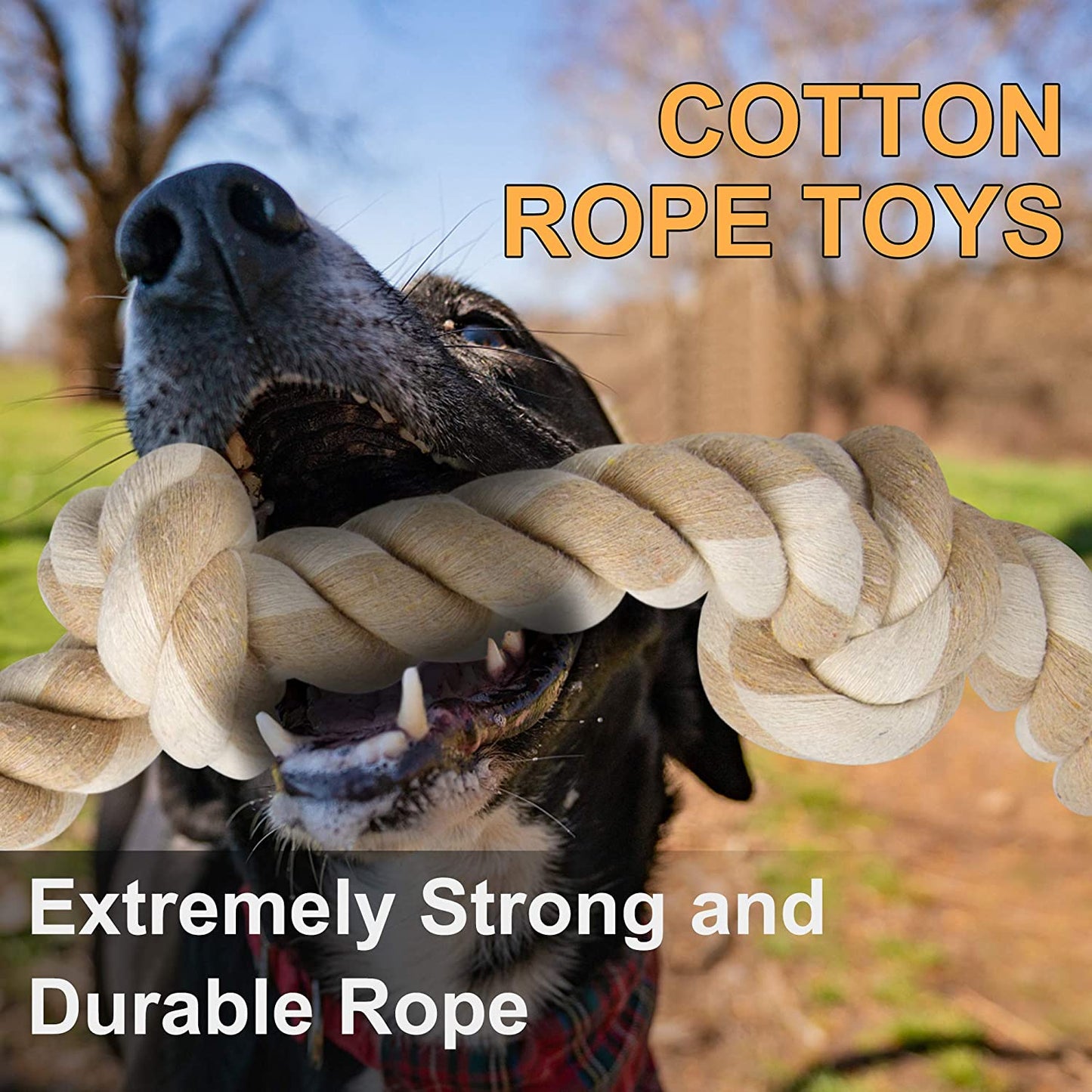 Dog Rope Toys for Large/Medium Aggressive Chewers, Tough Rope Chew Toy, 90Cm 5 Knots Clear Store