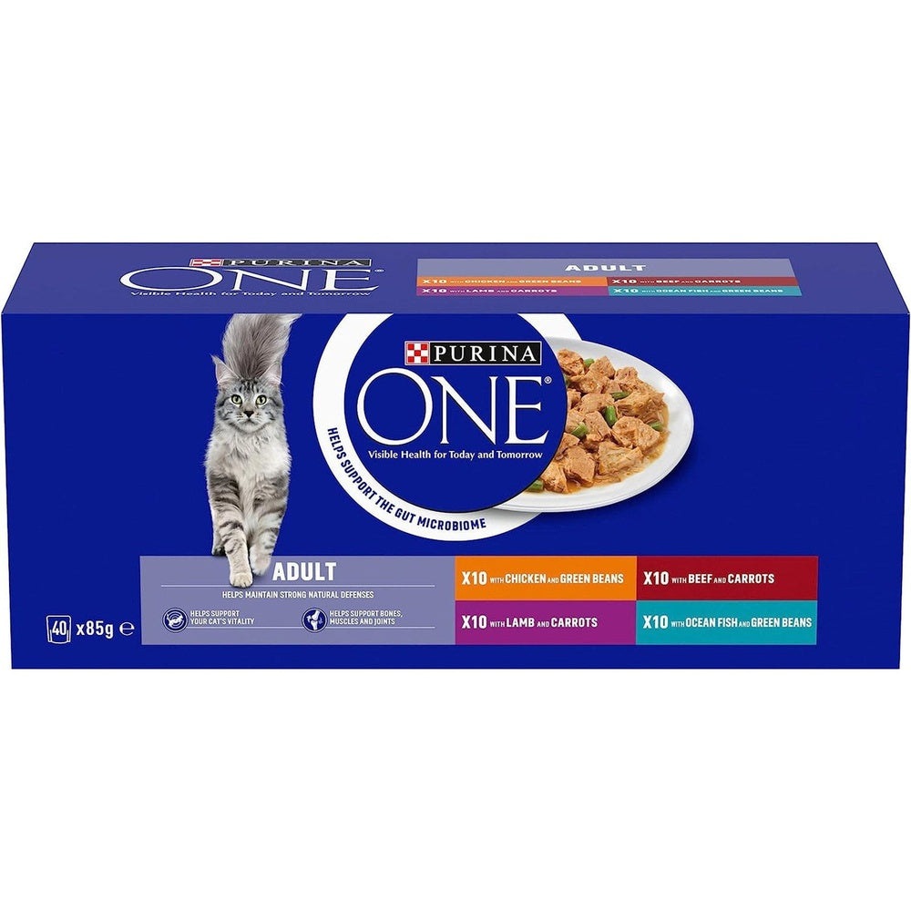 Purina ONE Adult Cat Food Mini Fillets in Gravy, 40 X 85G Clear Store