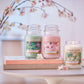 Scented Candle | Cherry Blossom Large Jar Candle | Long Burning Candles: up to 150 Hours | Perfect Gifts for Women Clear Store