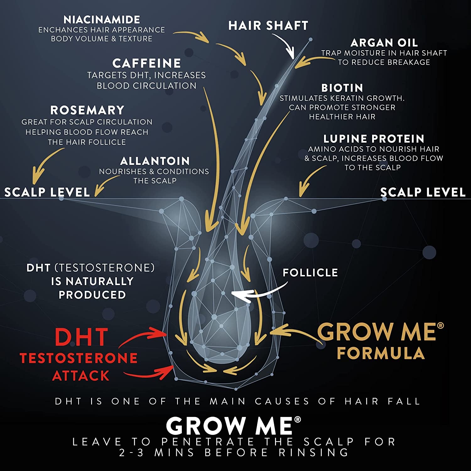 Grow Me® Hair Growth Shampoo - Not Just a Caffeine Shampoo We Include Biotin, Argan Oil, Rosemary, Niacinamide. Hair Thickening Treatment for Women & Men with Progressed Thinning.