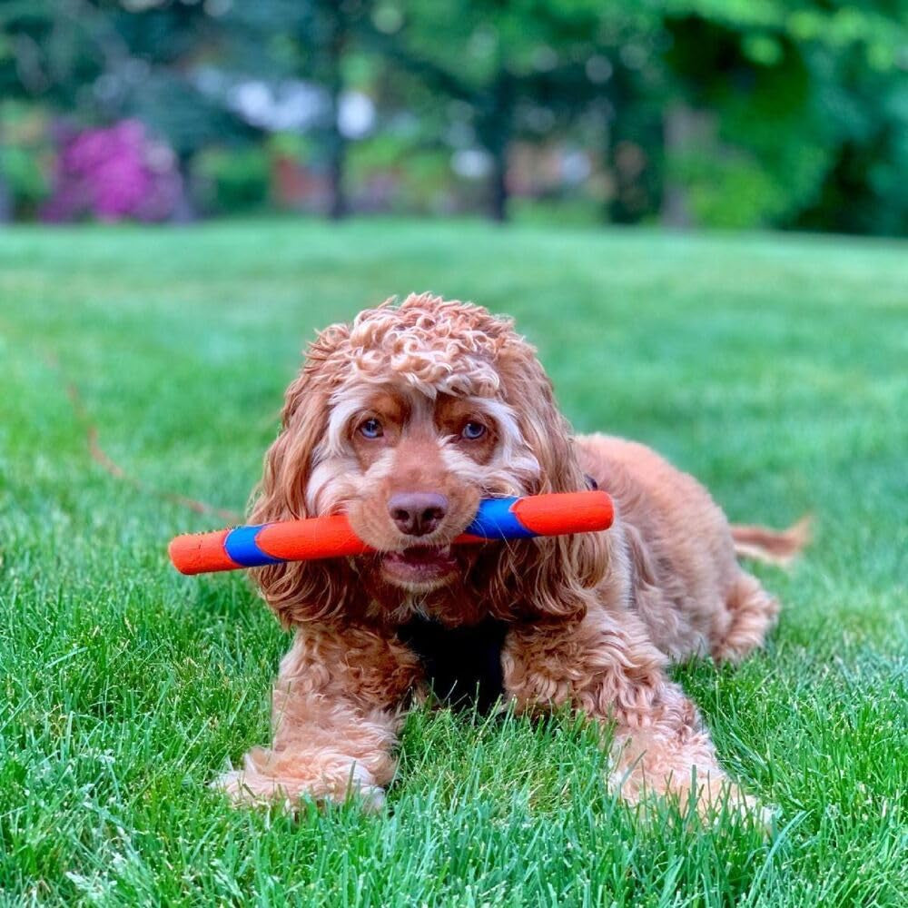 Ultra Fetch Stick Rubber Dog Toy, Increased Visibility Floats on Water Toy for Dogs