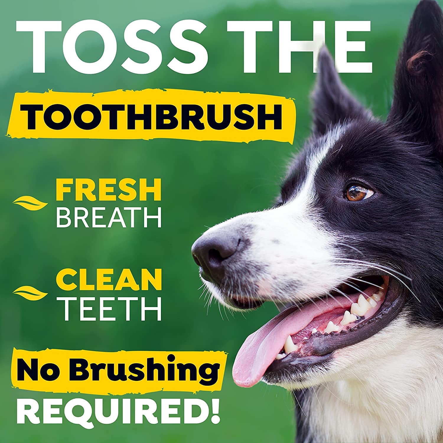 Fresh Breath Dog Teeth Cleaning  Dog Dental Care for Bad Breath - Breath Freshener - Water Additive Mouthwash – Helps Remove Plaque off Dogs Teeth, Original, 473ml Clear Store