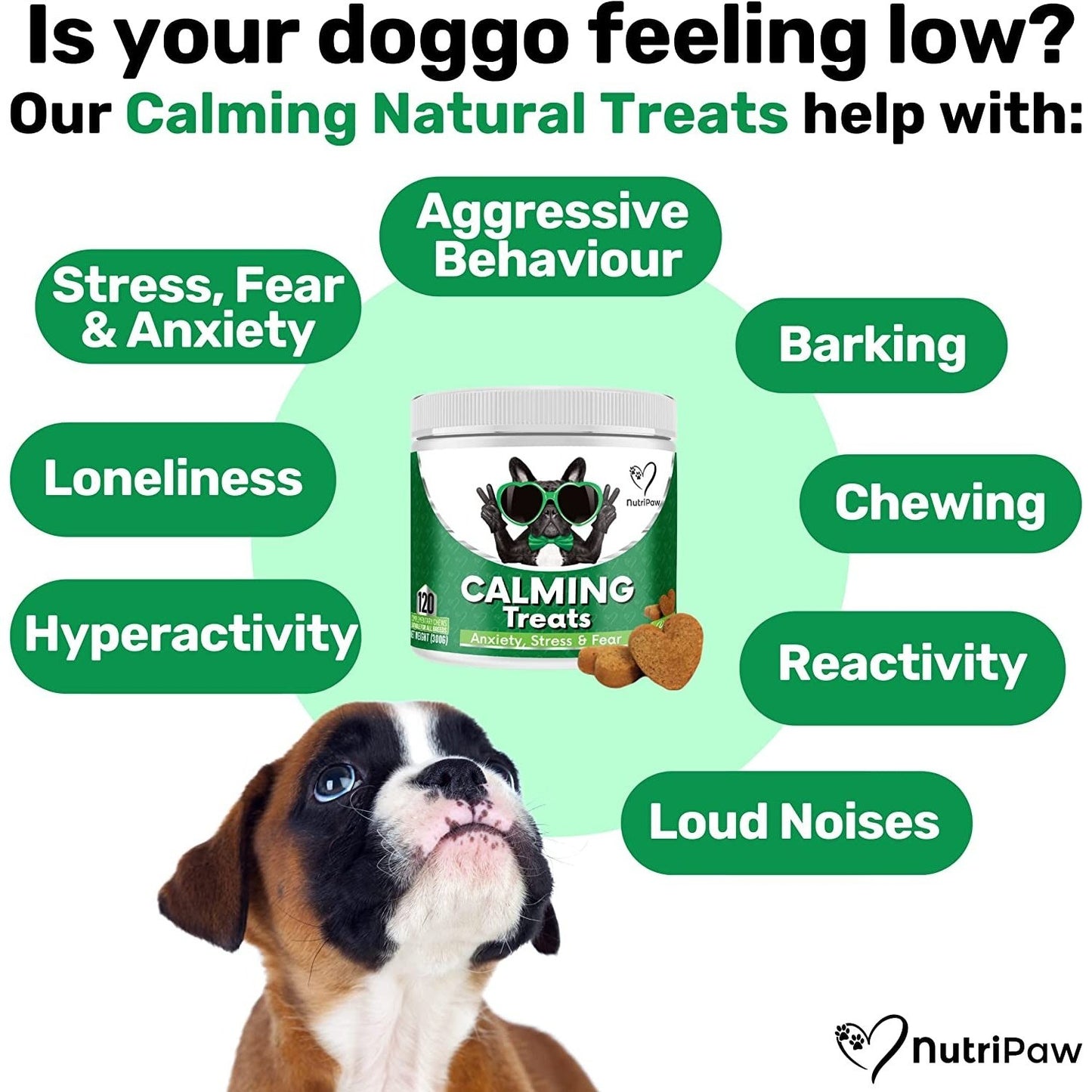 Calming Treats for Dogs - Reduce Stress, Fear, Separation Anxiety, Barking, Hyperactivity, Reactivity, Aggression, Travel Issues - Relaxation without Drowsiness Dogs