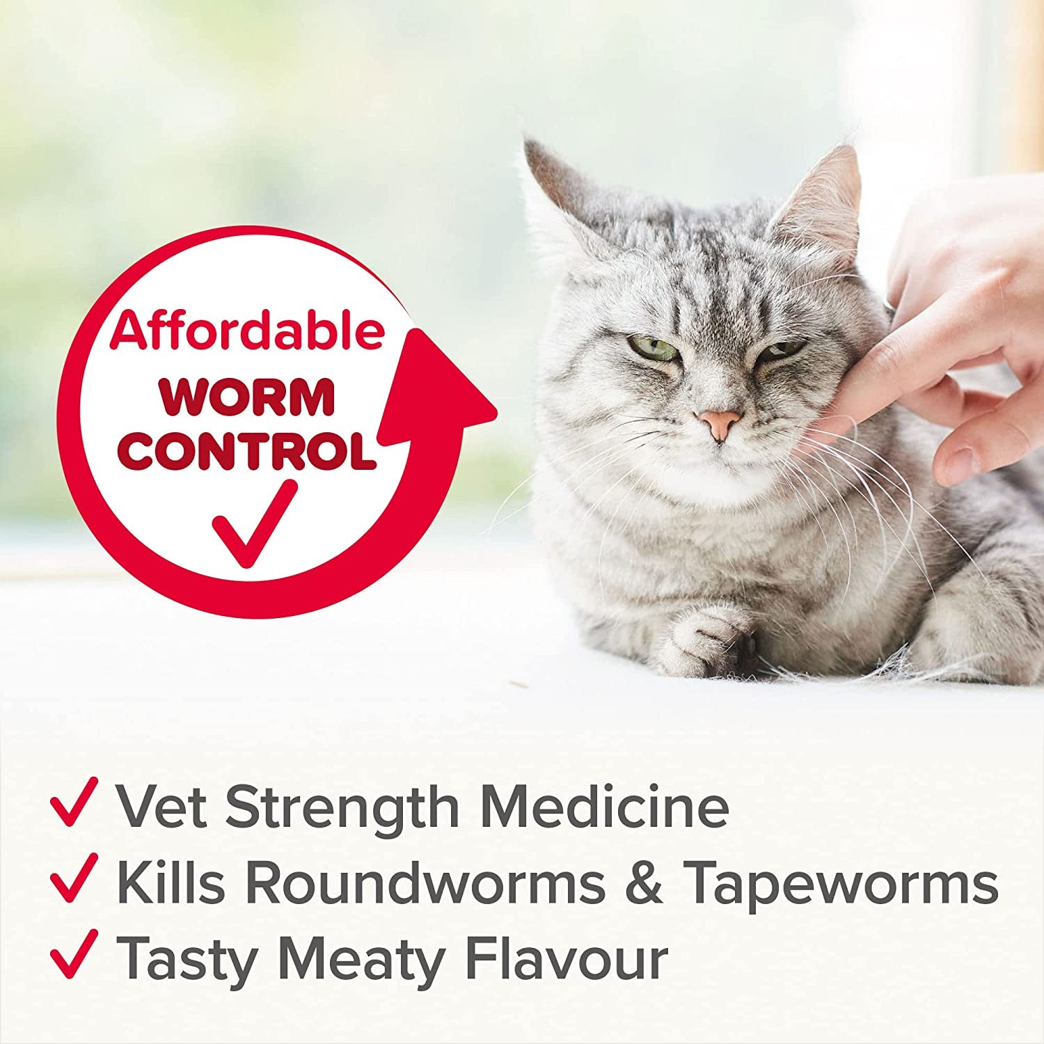 Roundworms & Tapeworms For Cats, Vet Strength Treatment, Meat-Flavoured 2 Tablets Clear Store