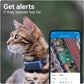 GPS Cat Tracker Mini - Cat GPS, 24/7 Location & Territory, Escape Alerts, Unlimited Range (Blue) + Rogz Breakaway Collar Clear Store